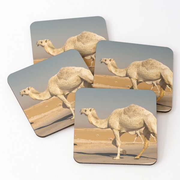 Item preview, photo of camel in Saudi Arabia  designed and sold by Alshoalla.