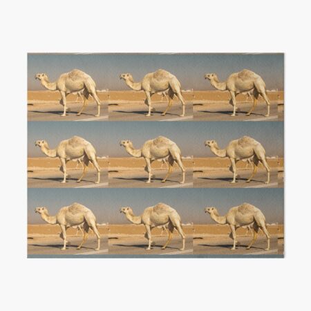 Item preview, photo of camel in Saudi Arabia  designed and sold by Alshoalla.