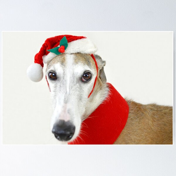 Item preview, dog animal greyhound funny puppy designed and sold by Darko-media.