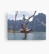 Remote Canvas Print