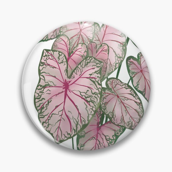 Item preview, Cute Plant Illustration, Caladium Pink Beauty designed and sold by Ana Moguš.