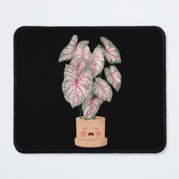 Item preview, Cute Plant Illustration, Caladium Pink Beauty designed and sold by Ana Moguš.