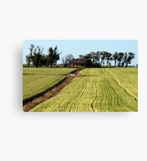 Freshly Mown Canvas Print