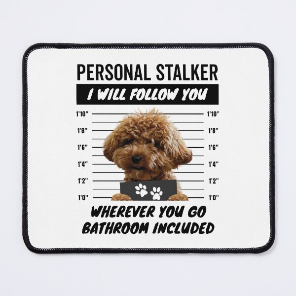 Item preview, Personal Stalker Dog – Maltipoo designed and sold by More Cute Dogs.