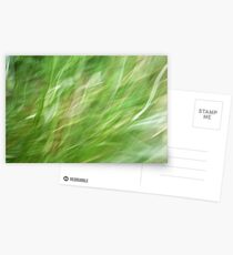 Breeze Postcards