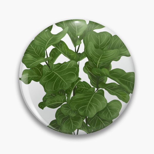 Item preview,  Cute Plant Illustration, Fiddle leaf Fig Illustration 4 designed and sold by Ana Moguš.