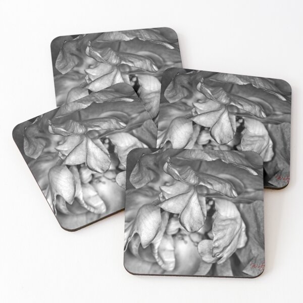 Item preview, Colour versus Black & White (4) designed and sold by Wolf Sverak Photography.