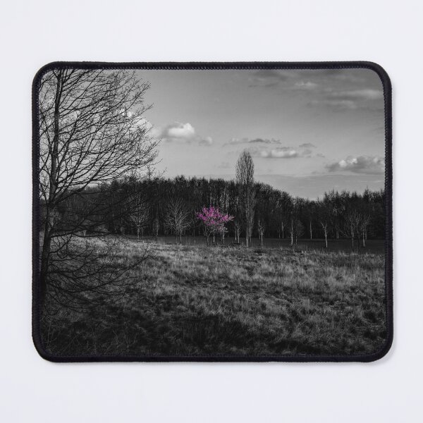 Item preview, Selective-Colour Blossom designed and sold by axp7884.