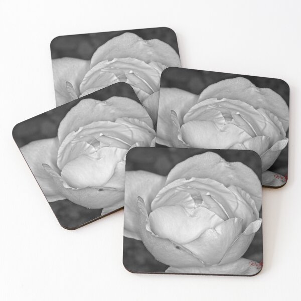 Item preview, Colour versus Black & White (5) designed and sold by Wolf Sverak Photography.