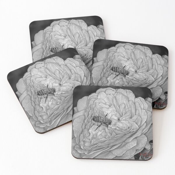 Item preview, Colour versus Black & White (6) designed and sold by Wolf Sverak Photography.