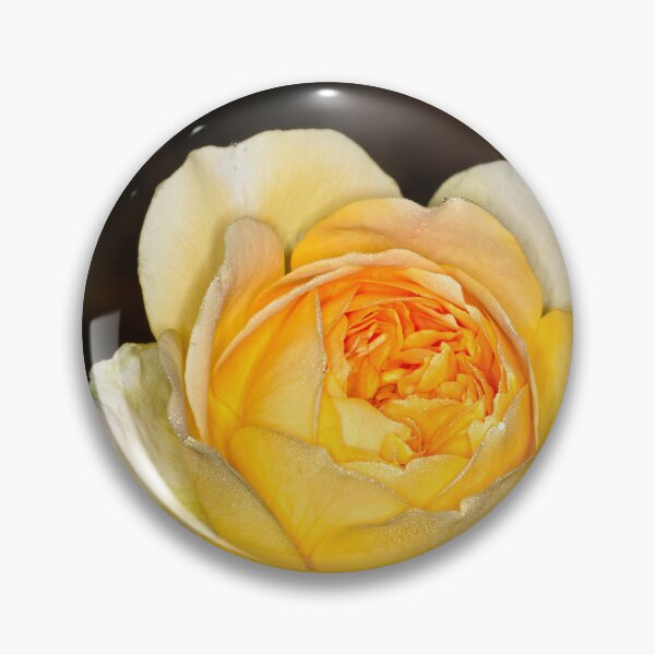 Item preview, Colour versus Black & White (7) designed and sold by Wolf Sverak Photography.