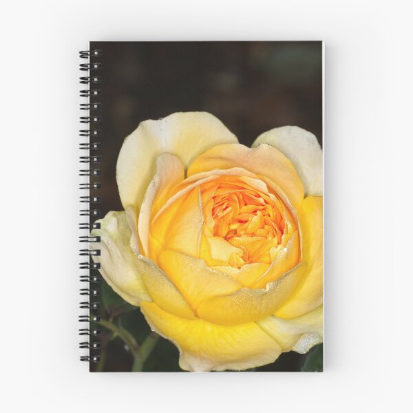 Item preview, Colour versus Black & White (7) designed and sold by Wolf Sverak Photography.