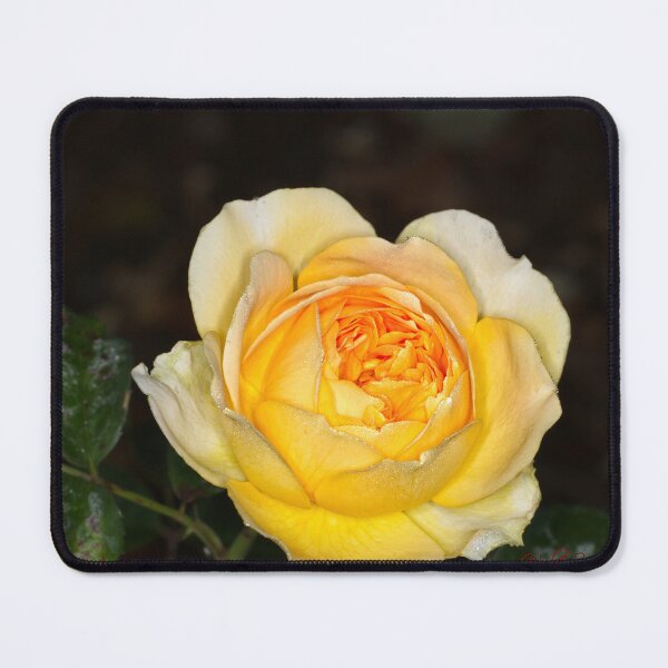 Item preview, Colour versus Black & White (7) designed and sold by Wolf Sverak Photography.