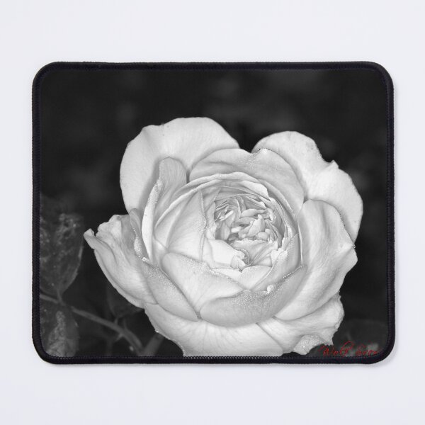 Item preview, Colour versus Black & White (7) designed and sold by Wolf Sverak Photography.