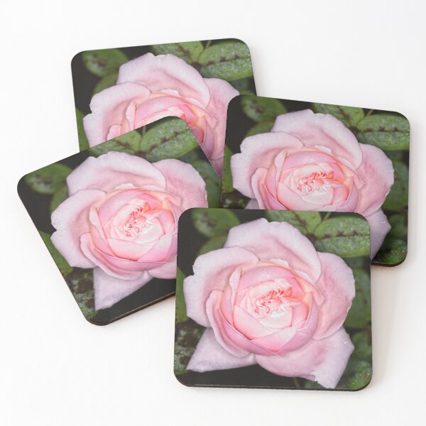 Item preview, Colour versus Black & White (8) designed and sold by Wolf Sverak Photography.