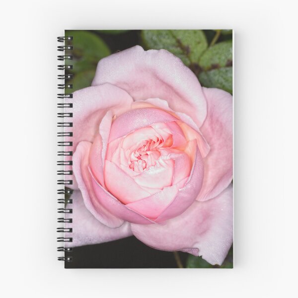 Item preview, Colour versus Black & White (8) designed and sold by Wolf Sverak Photography.