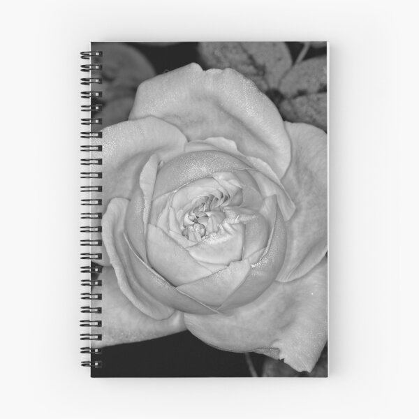 Item preview, Colour versus Black & White (8) designed and sold by Wolf Sverak Photography.