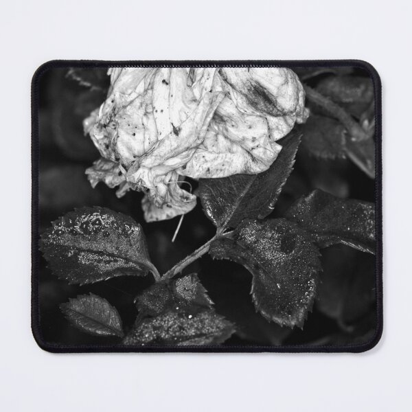 Item preview, Colour versus Black & White (9) designed and sold by Wolf Sverak Photography.