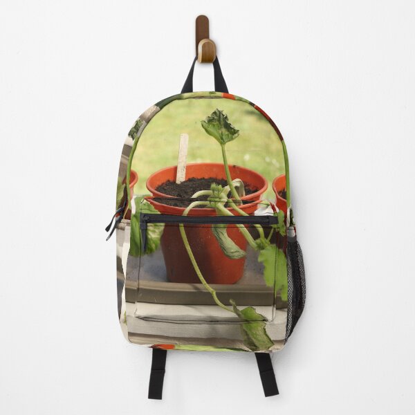 Item preview, Courgettes designed and sold by pinkal.