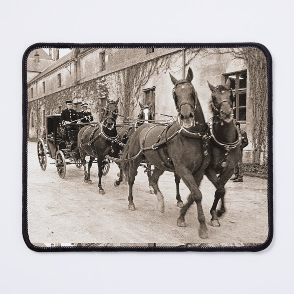 Item preview, r658/ silver time " Open day at Haras de Saintes (17) France 1981 - Journée porte Ouverte au Haras de Saintes " Okaio Créations Olavia-Olao designed and sold by o.okaïo.