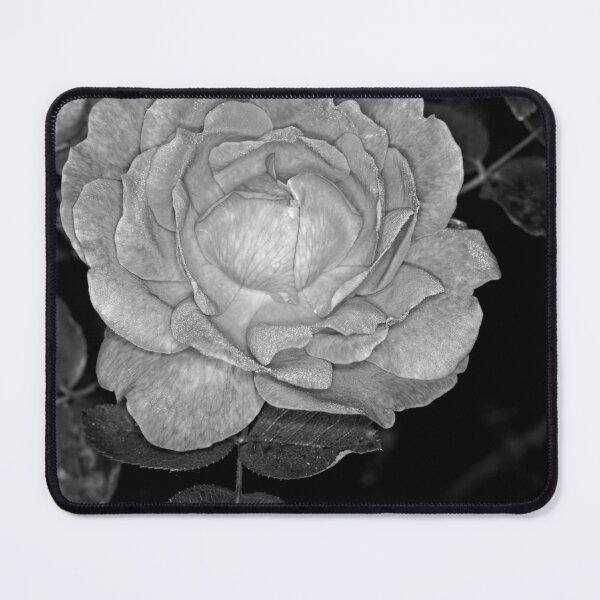 Item preview, Colour versus Black & White (10) designed and sold by Wolf Sverak Photography.