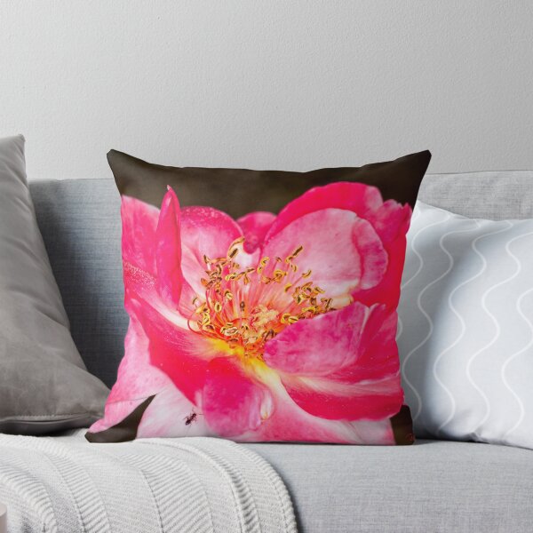Item preview, Colour versus Black & White (11) designed and sold by Wolf Sverak Photography.