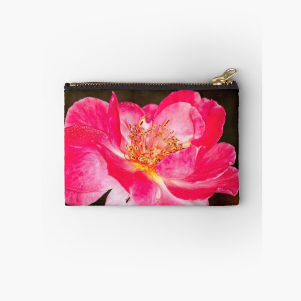 Item preview, Colour versus Black & White (11) designed and sold by Wolf Sverak Photography.