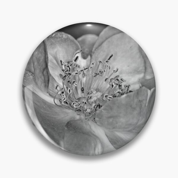 Item preview, Colour versus Black & White (11) designed and sold by Wolf Sverak Photography.