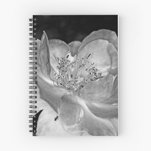 Item preview, Colour versus Black & White (11) designed and sold by Wolf Sverak Photography.