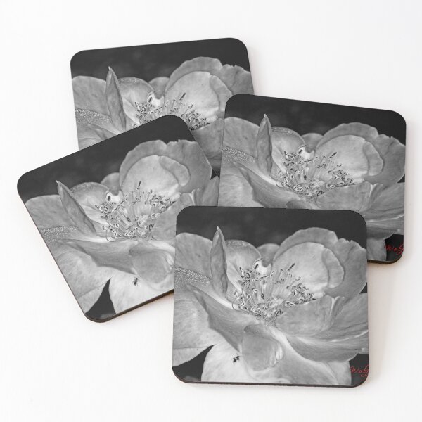 Item preview, Colour versus Black & White (11) designed and sold by Wolf Sverak Photography.
