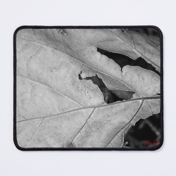 Item preview, Colour versus Black & White (12) designed and sold by Wolf Sverak Photography.