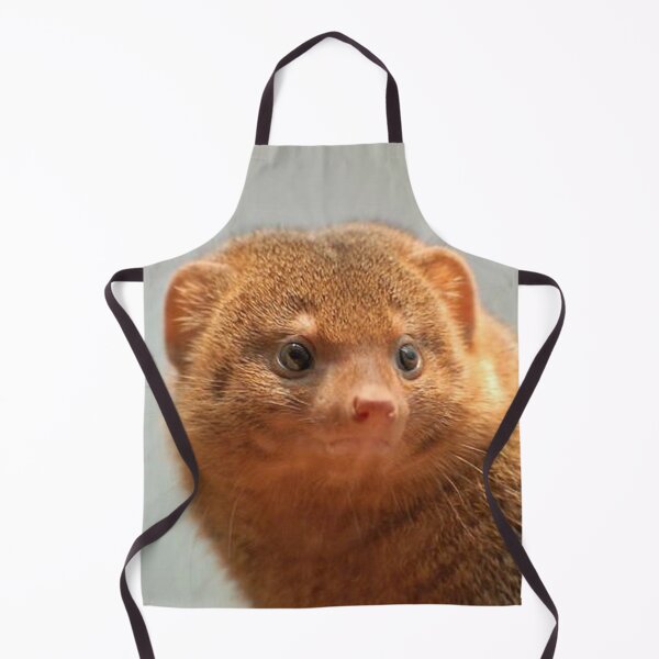 Item preview, Mongoose Stare designed and sold by Fearless-Fox.