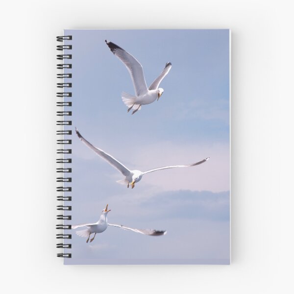 Item preview, Gulls designed and sold by GeordieBoi.