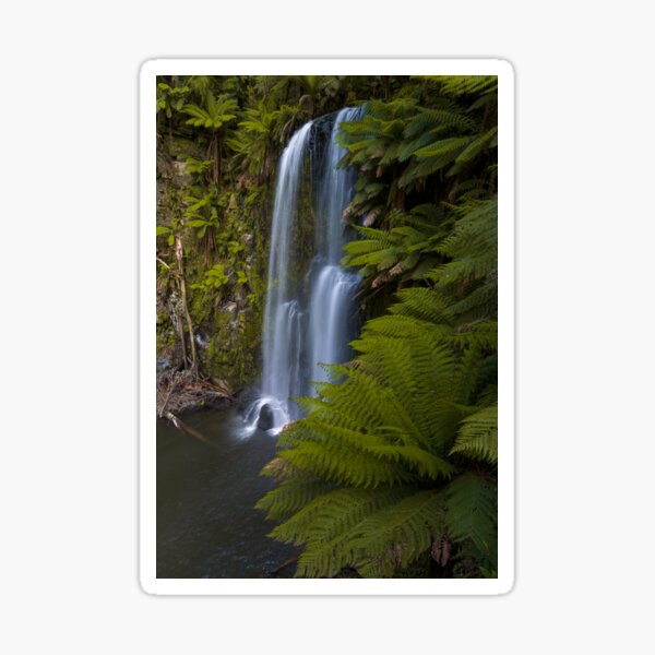 Item preview, The beautiful Beauchamp Falls in Victoria, Australia designed and sold by DesignBoard Photography.