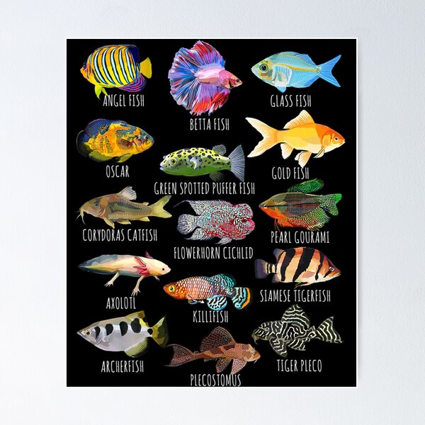 Fish Species Chart 