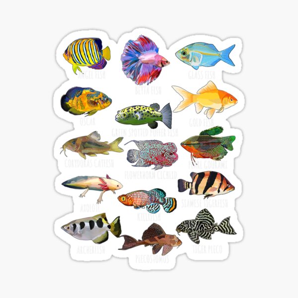 Types Of Fish Stickers for Sale, Free US Shipping