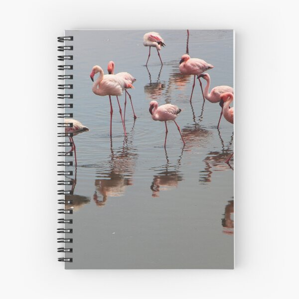 Item preview, Flamingoes - Namebia designed and sold by Gilberte.