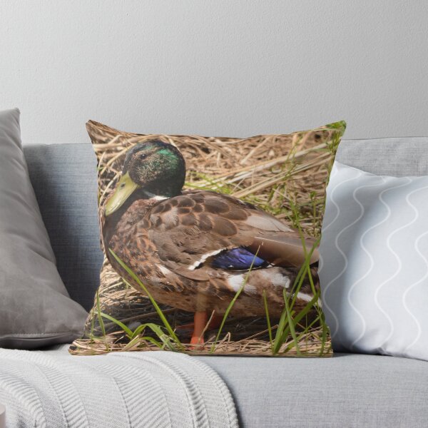 Item preview, Dusty Duck designed and sold by thePhotoMaster.