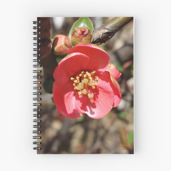 Item preview, Beautiful Pink Spring Bloom Original Photo designed and sold by MyQueendom.