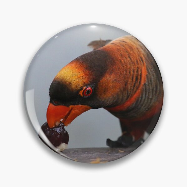 Item preview, Picky Parrot designed and sold by Fearless-Fox.