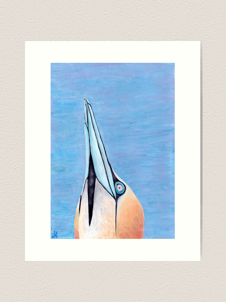 Thumbnail 2 of 3, Art Print, Skye the Gannet designed and sold by GillianAdams.