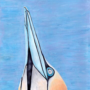 Artwork thumbnail, Skye the Gannet by GillianAdams