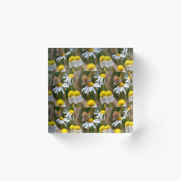 Artikelvorschau, Kamille und Tigerschmetterling entworfen und verkauft von Patternflower.