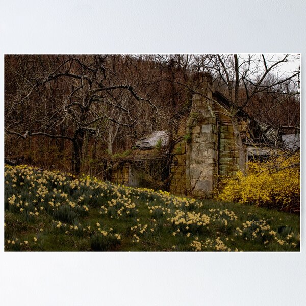 Item preview, Apple Valley Ruins designed and sold by nbrandsberg.