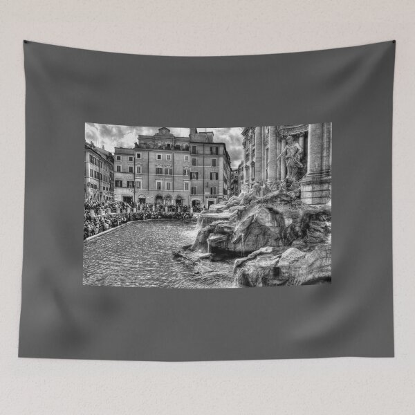 Item preview, Trevi Fountain Crowd, Black And White designed and sold by Paul Thompson Photography.
