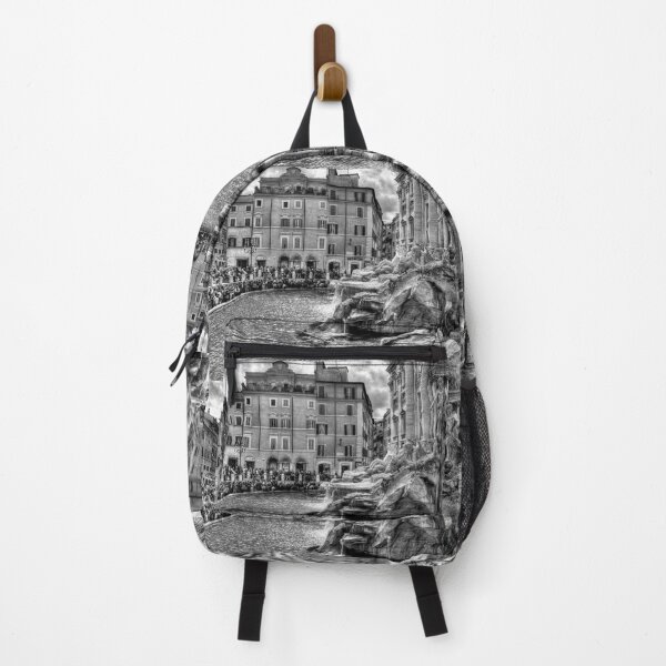 Item preview, Trevi Fountain Crowd, Black And White designed and sold by Paul Thompson Photography.