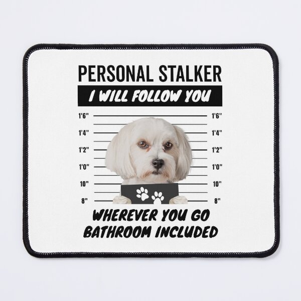 Item preview, Personal Stalker Dog – Morkie designed and sold by More Cute Dogs.