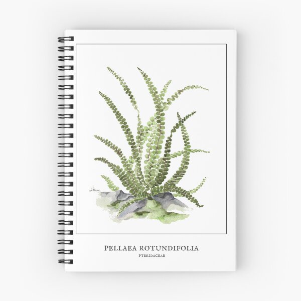 Item preview, Button fern designed and sold by PetitMartin.