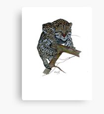 Ocelot Canvas Print
