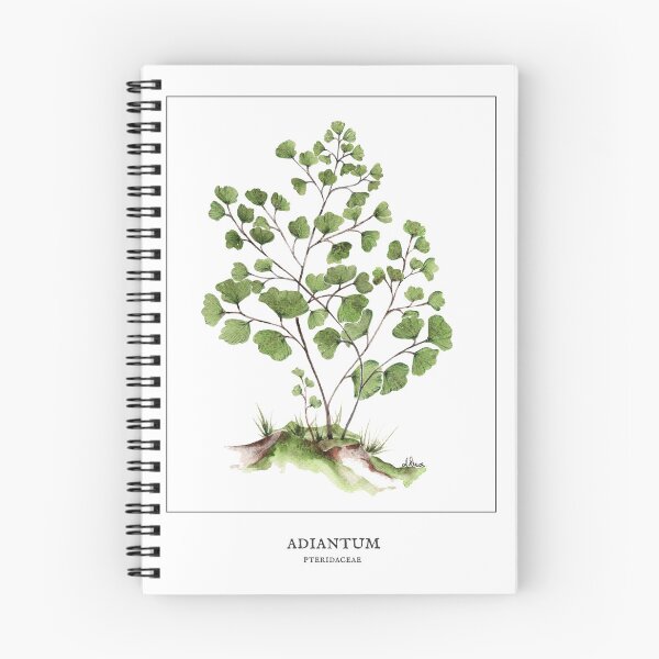 Item preview, Maidenhair fern designed and sold by PetitMartin.
